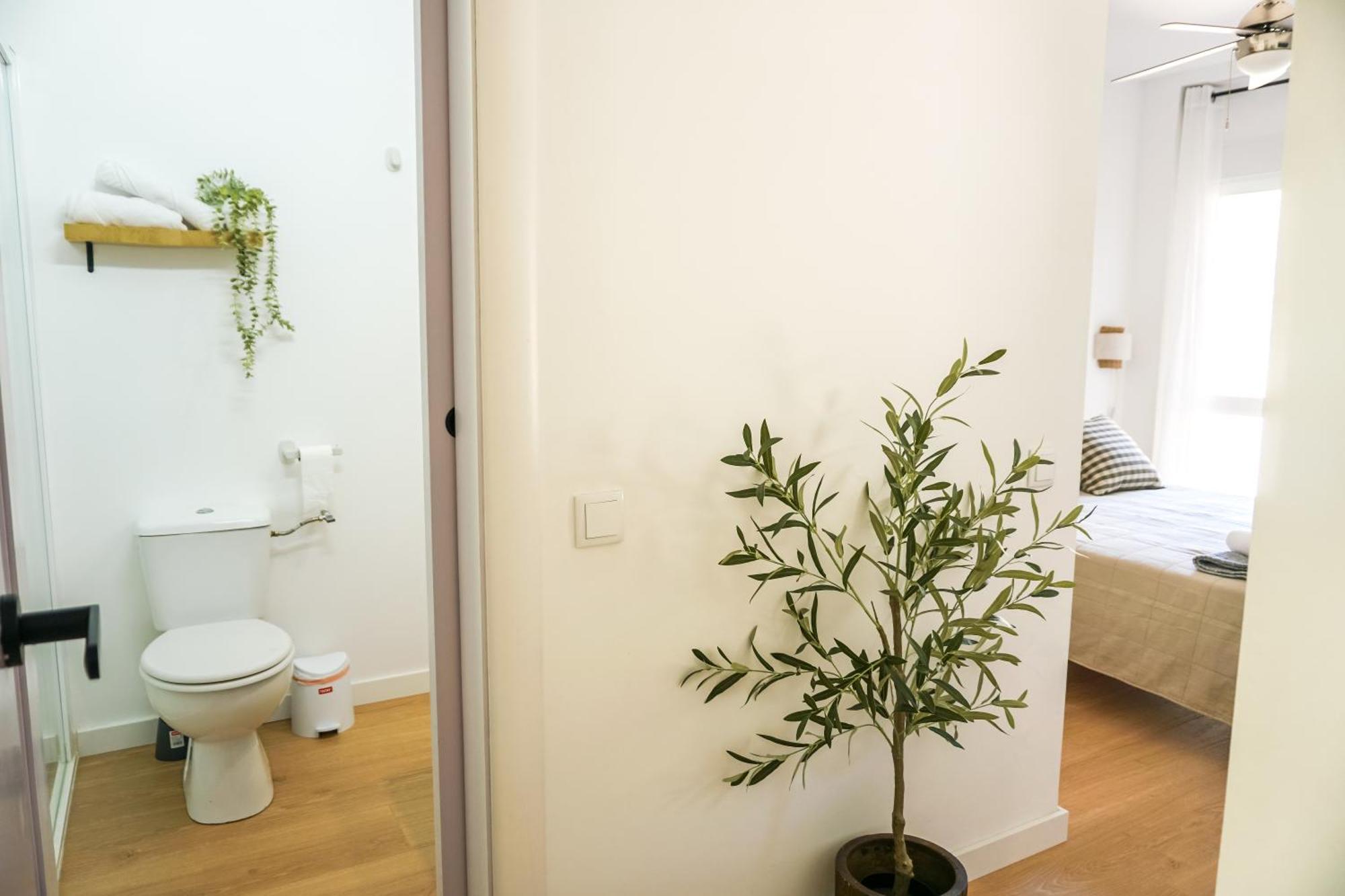 Apartamento El Olivo 阿利坎特 外观 照片